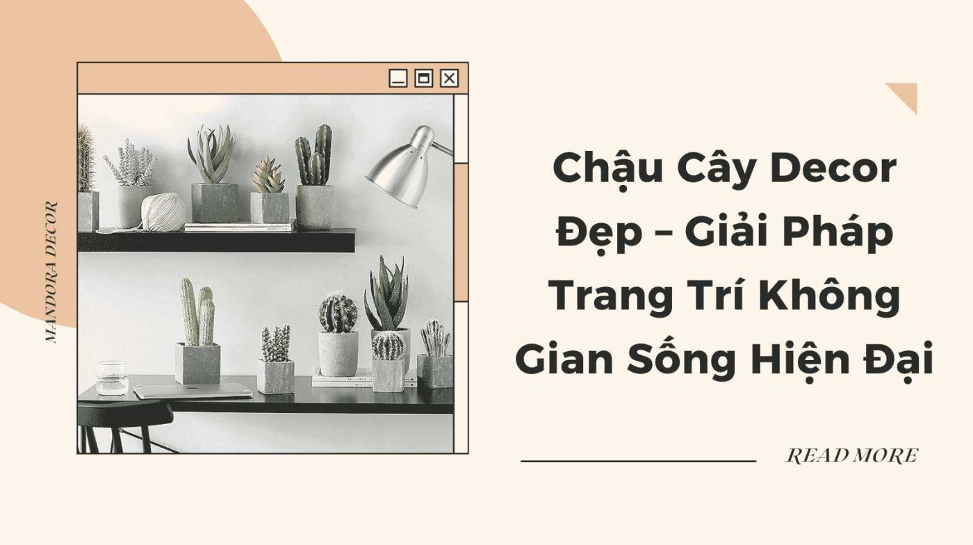 chậu cây decor