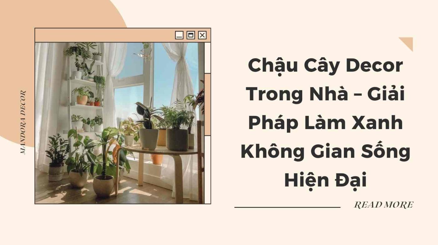 Chậu cây decor trong nhà