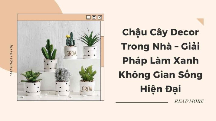 Chậu cây mini decor