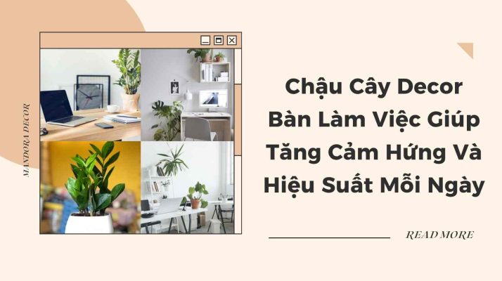 Chậu cây decor bàn làm việc